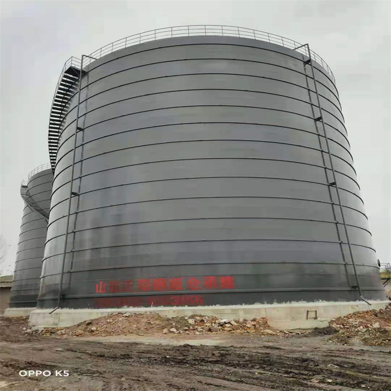 石龙3万吨大型钢板库