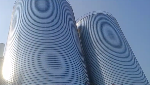 石龙2座混凝土高架卷板仓